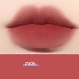 Canned Lip Gloss Lip Mud Matte Lip