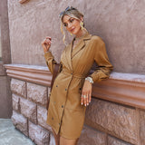 Lapel Design Sense Of Fashionable Women Dress