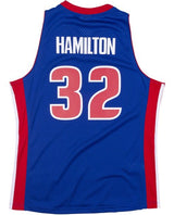 Richard 'Rip' Hamilton Detroit Pistons Hardwood Classics Throwback Swingman Jersey