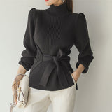 Butterfly End Waist Turtleneck Sweater