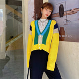 Cardigan Thickened Western Style